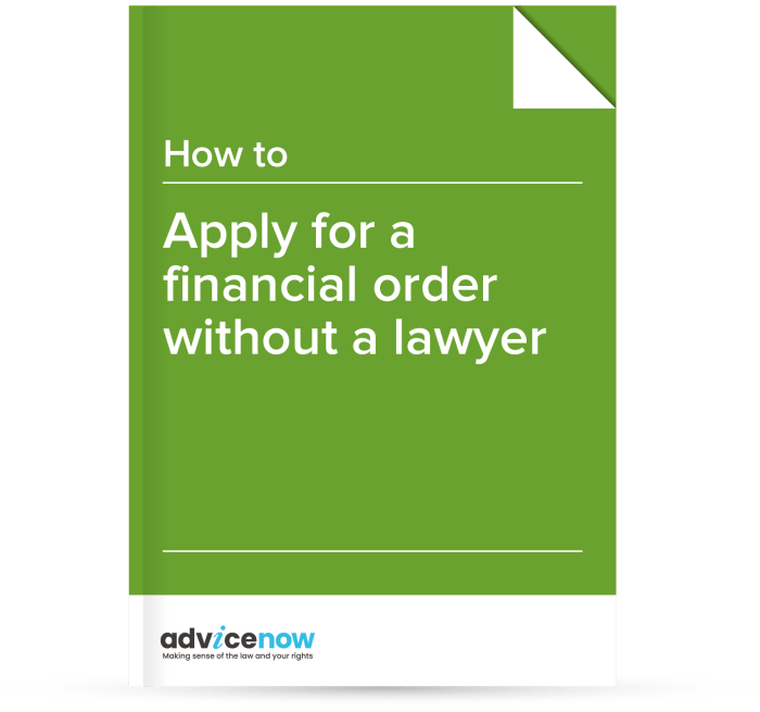 How to apply for a financial order without the help of a lawyer - Digital download
